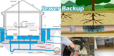 sewer backup coquitlam|FAQs • How should I deal with a sewer back.